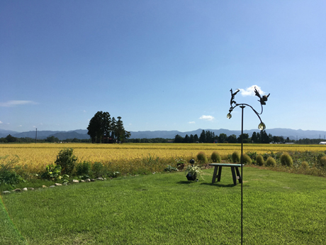 田んぼ　建築家